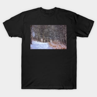 Winter Trail. T-Shirt